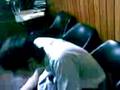 videos de Vacunados en el PALAA