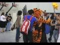 Tiger Tales 08 HS Distribution Assembly Slide Show