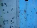 Navega no Paintball - ACP da Taquara