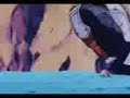 dragon ball verga