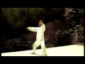 Chen Zheng Lei Cannon Fist