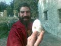 El Gallo Silasie Montenegro