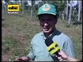 Recuperacion de suelo