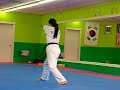 Taekwondo Choi