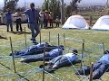 FESTI - SCOUTS 2008 AREQUIPA - PER�