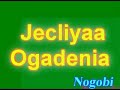 JECLIYAA (MOTHER LAND)
