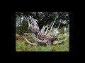 ---Unexplained And Paranormal---