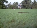 Missed it by that much