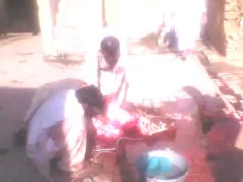 qurbani2 -