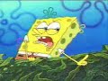 Bob Esponja-Las Mulas Del Moreno