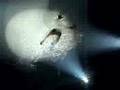 Fuerza Bruta NYC