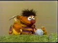 1969 Ernie goes rock hunting (Sesame Street)