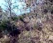 Enduro, Enricone con il mal di pancino!!