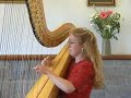 Passacaglia on Harp, composed by David Watkins