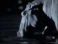 hyenas vs hippos