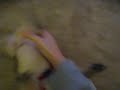 learning to roll