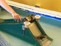 Ducks on a Slide