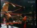 Triple H Tribute