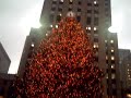 arbol-navidad-merida-2007.html