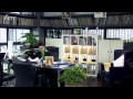 新上门女婿01