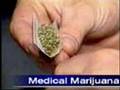 The-Marijuana-Conspi