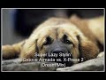 groove-armada-super-stylin-shore-thing-the-best.html