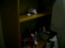 quarto 45