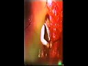 videos de ultravox -Reap The Wild Wind