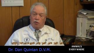 Fulton County Vet Clinic Thanksgiving