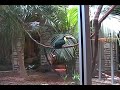 El Tropicano Toucan Alley