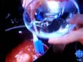 videos de CRAZY B!TCH CUTS MY BALLS OFF FOR FOOD???