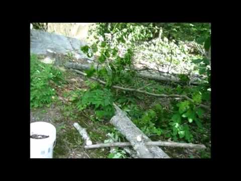 how to break my own water