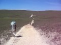 tepuy roraima / gran sabana / canaima / venezuela