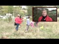 Dissabte 22 de novembre, 10 h, a.m. Breda, La Selva. Un viver ple de vida. Uns vells amics (l’Amadou, l’Albert...) i un munt de pins pinyoners que apunten a l’infinit. A terra, una estora de glans que han caigut dels roures envolten el planter. La furgoneta del Xema, carregada d’arbres i llavors, torna cap a casa. L’operació “SALVEM LA BASTIDA” s’ha activat, en la primera fase en el trasplantament de natura.  Els treballs de camp, comptem amb mil braços esforçats per obrir petits pous d’acolliment. Plantem pins, però també llavors d’alzina, roure, lledoner, garrofer, llorer, olivera...fruits recollits pels voltants, al Garraf, al Corredor-Montnegre, al parc de la Ciutadella, a Torribera...Grans, mitjans i petits, amb xapos, aixades, cavaguets pels arbres, i simples bastonets per enterrar les llavors “Nendo-Dango” embolicades en fang. Total: 300 nous pins i uns  2.500 (pinyols, glans...) d’arbres variats, que a la primavera poden germinar. Hem plantat futur.         