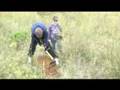 Salvem La Bastida! - Trasplantem natura; plantem futur.