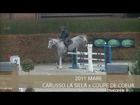 FINE KISS TRAINING SHOW BUISSPORT MARCH 2018