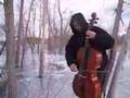 'Cello on Ice' by Brandon Smith