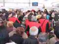 Feria del vino de Amandi-1