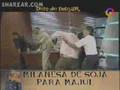 majul contra samid