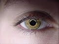une petite voix ma di un jour