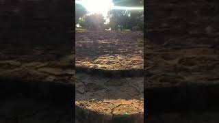 قرية الزيب المهجرة عكا فلسطين ?? قرية الزيب المهجرة عكا فلسطين ??