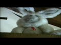 pandator-4.html