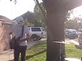 the cobrasnake yard sale