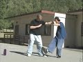 Hsing-I: 5 Fists Applications