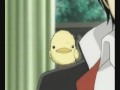 Hibird and then