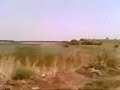 razvan-oltenita