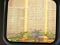 PALM TREEZ (WATCH IN HIGH QUALITY)