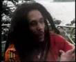 BOB MARLEY TALKS ABOUT HERB