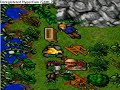 trap rook tibia