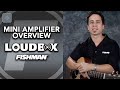 Fishman Loudbox Mini Overview